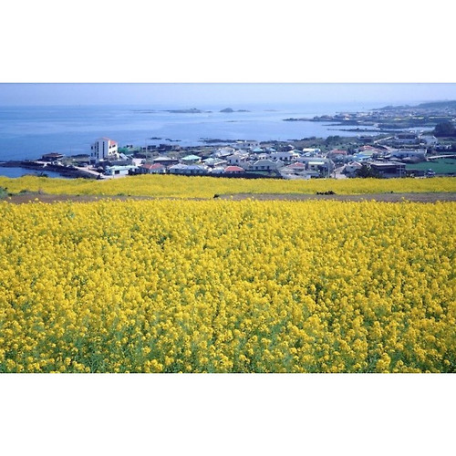 제주-청주 항공권 - 검색결과 | 쇼핑하우